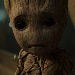 Meet your Posher, Krystal